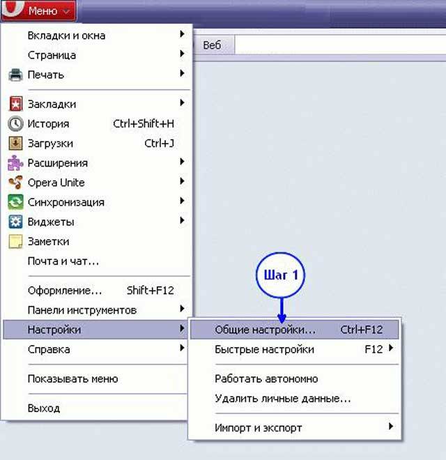 Способы отключения обновлений в Opera