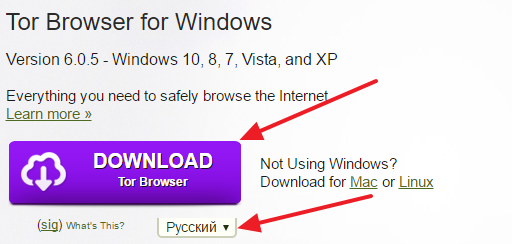 как настроить tor browser на windows 10