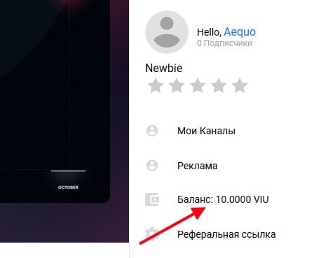 Как зарабатывать на Viuly.io