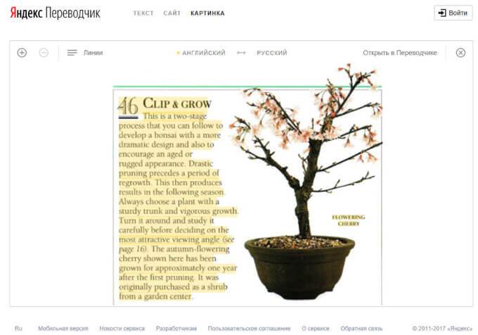 Яндекс Переводчик по фото онлайн
