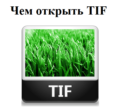 Чем открыть TIF файл