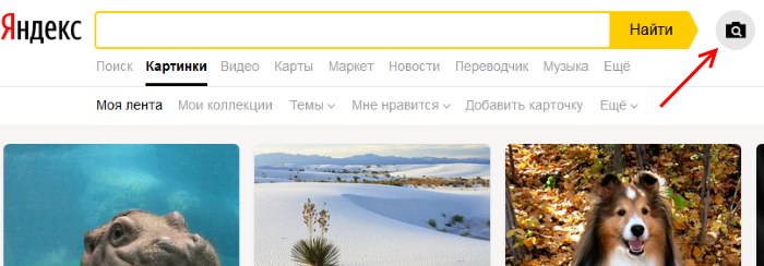 Поиск товара по фото